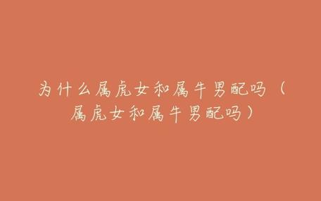 属牛女生找男友最重视什么条件