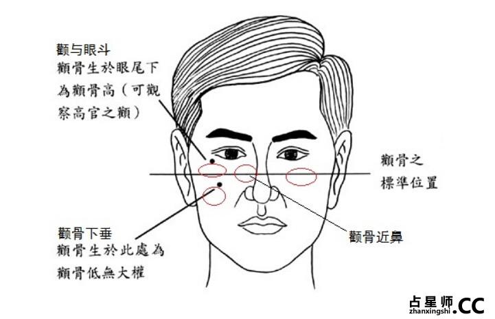 面相帮你找最佳合伙人