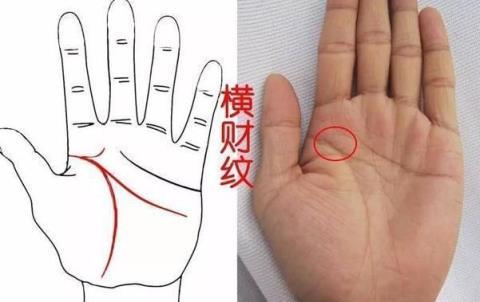 有钱人的手相是什么样子的
