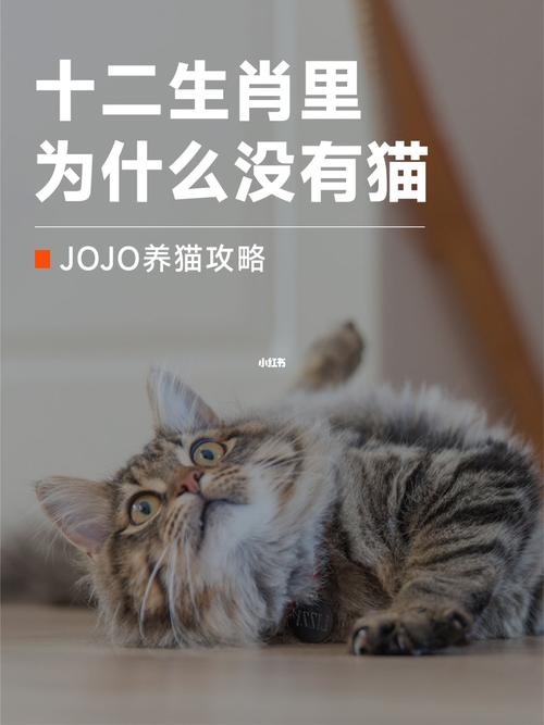 这几个生肖属相的人不适合养猫