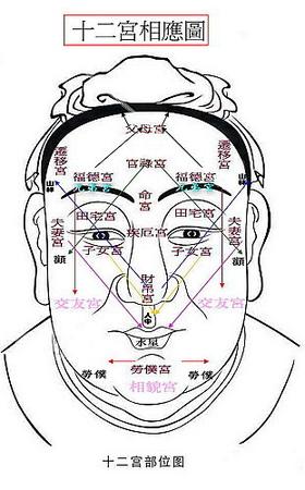 面相中什么是十二宫