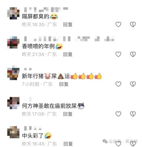 梦见猪屎满地