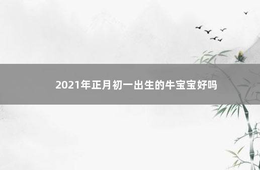 正月的牛宝宝好吗
