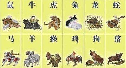 容易被骗钱的十二生肖