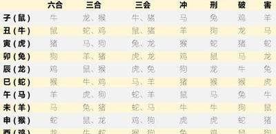十二生肖之间复杂的敌友关系