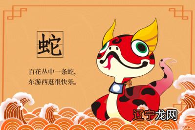 属虎的蛇年颜色喜忌