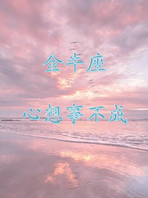 金牛座对感情没有期待的表现