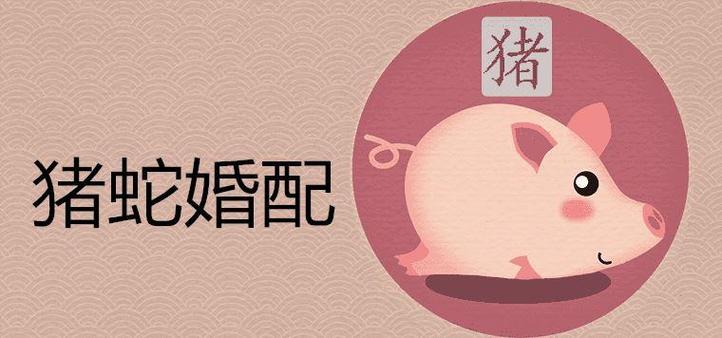猪蛇相配吗(二者天生相冲配之则为不吉)