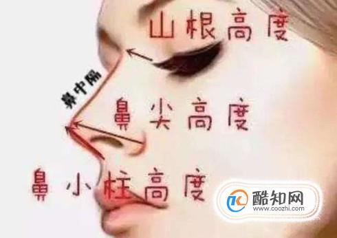 山根具体在哪 有啥含义?