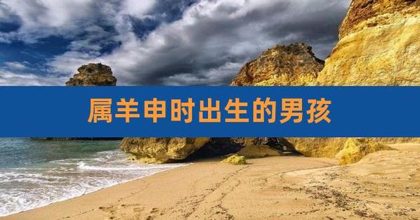 属羊申时出生的男孩