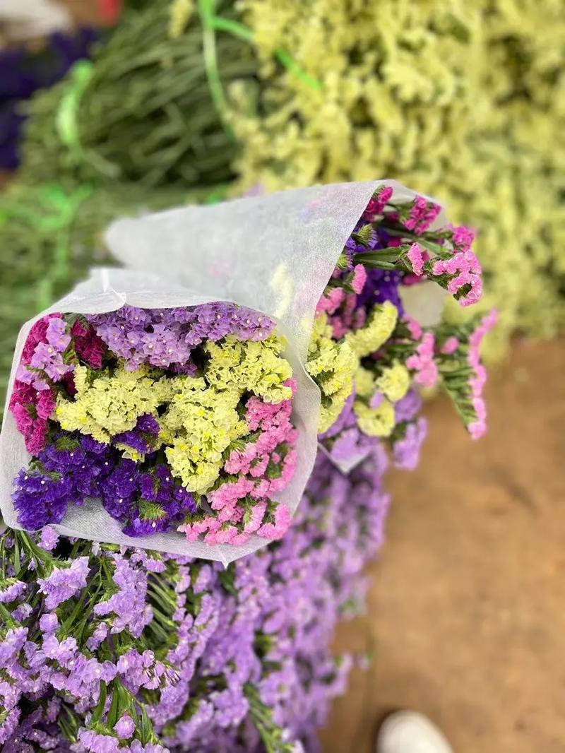 家里放干花勿忘我好吗