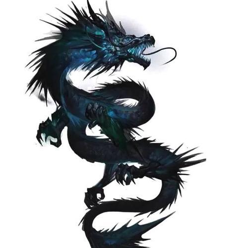 属龙倒霉的时候如何转运