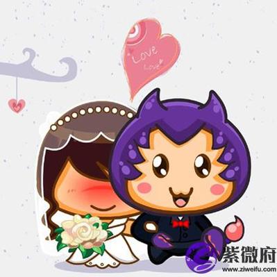 双子座疯狂结婚模式