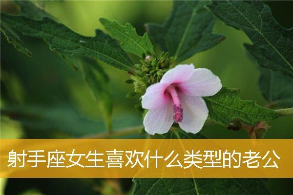 揭秘射手座女生喜欢什么花