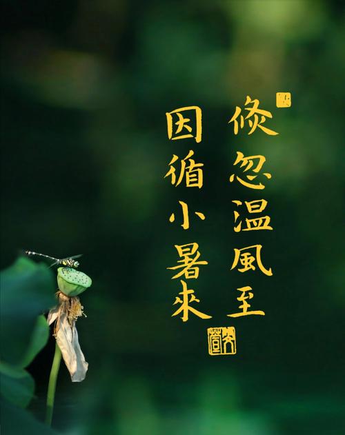 不同年份在小暑节气出生的属马人命理如何?