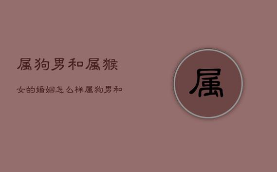 婚配算命:生肖猴女性和属狗男配不配