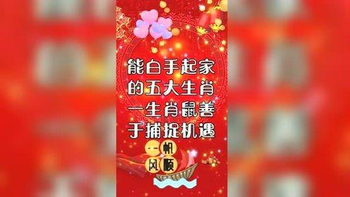 能白手起家,富贵靠自己善于经的生肖