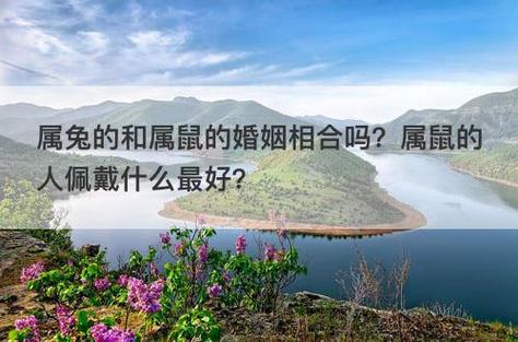 属兔的和属鼠的婚姻相合吗?属鼠的人佩戴什么最好?