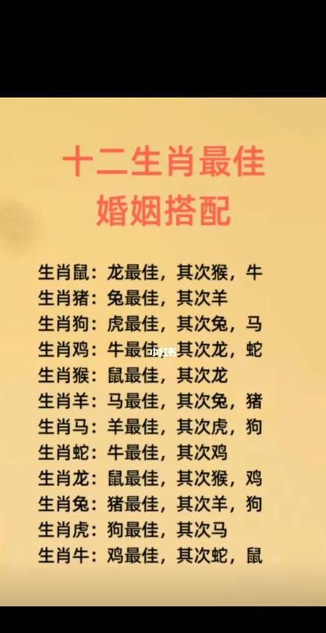 猪属相婚配表 配对运势怎么样