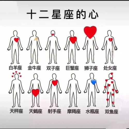 十二星座的真心都在上面地方