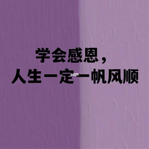 学会感恩,人生一定会一帆风顺
