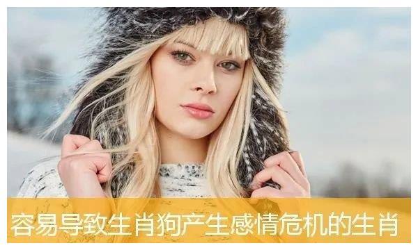 导致生肖狗感情危机的生肖