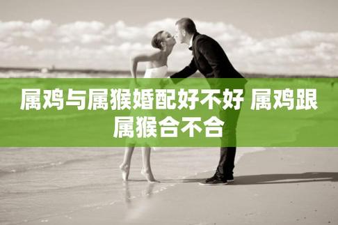 男属猴女属鸡婚配好吗