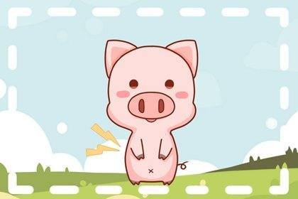属猪人2021年11月开始转运改运了吗