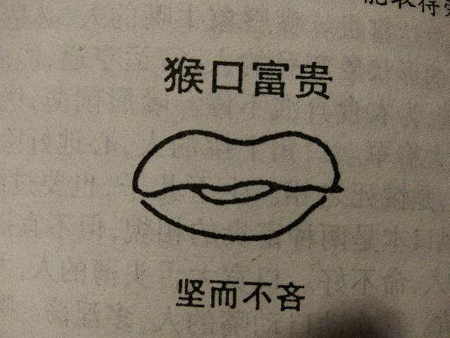 面相学:非富即贵的嘴型