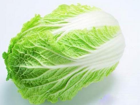 梦见洗白菜怎么回事