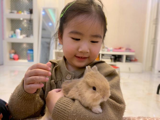 梦见朋友变成了侏儒