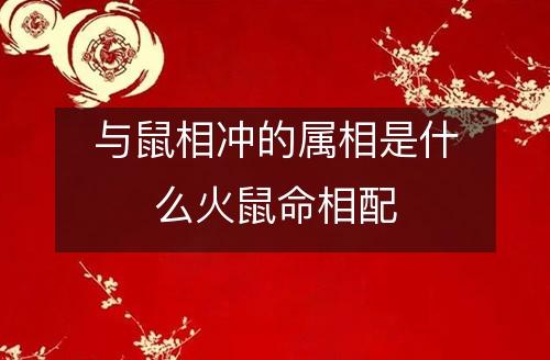 属鼠的和什么相冲,鼠和什么生肖相冲