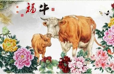 1961年牛60岁后财运运势怎么样