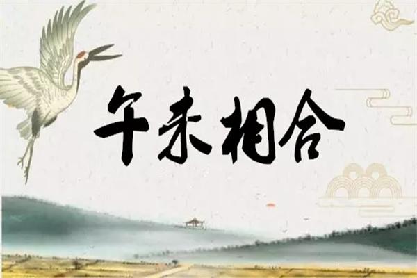午未合意味着什么