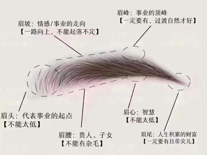 间断眉好不好 间断眉图片