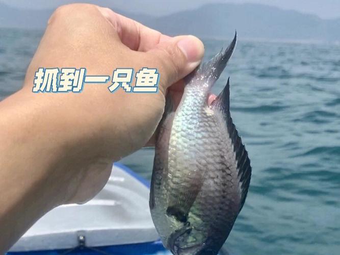 梦见独木舟怎么回事