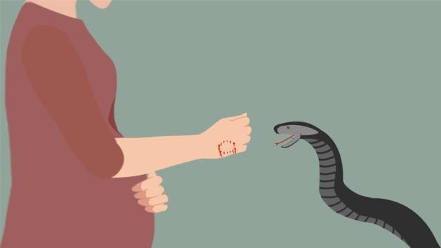 怀孕梦到被蛇咬什么意思