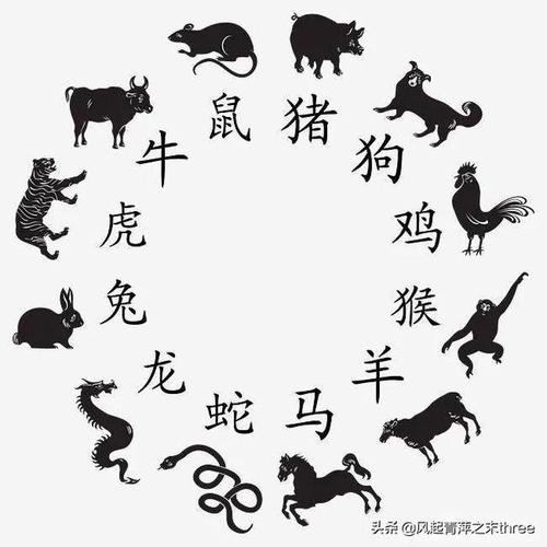 狗(男)配对十二生肖:狗+鸡