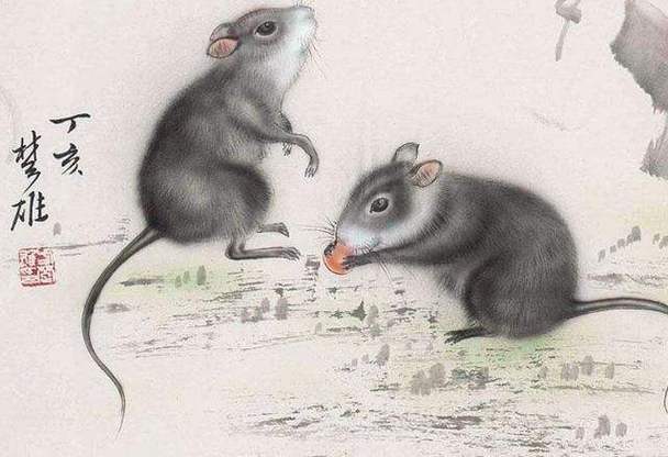 梦见蛇鼠