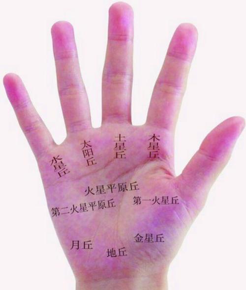 掌心痣相图解大全