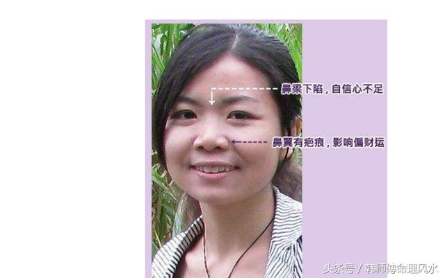 露灶鼻面相解析