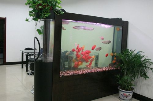 饲养风水鱼招财鱼缸造型如何选择?