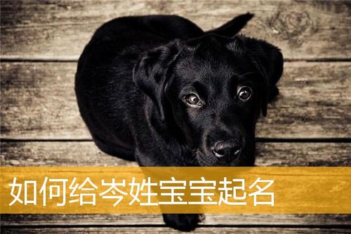 岑姓取名大全 好听独特的男孩女孩名字
