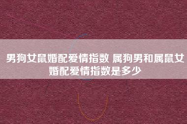 女鼠男狗的婚姻状况如何?如何鉴定男狗是否爱你?