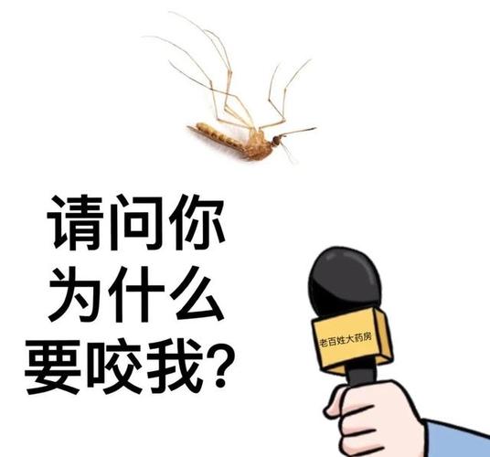炎炎夏日,B型血君作何表现
