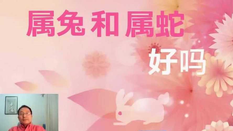 属蛇的人和属兔的人能在一起吗?配对优缺点哪些?
