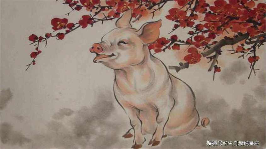 今年后半年会添丁的生肖