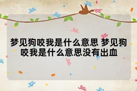 梦见好多狗围着想咬我预示着什么