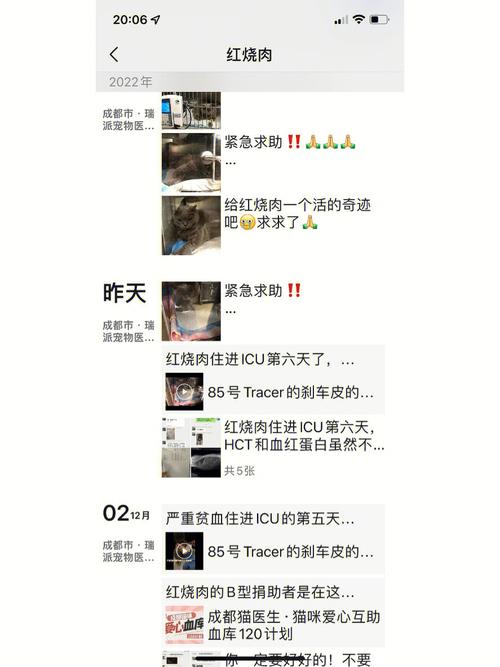 被爽约后的B型血