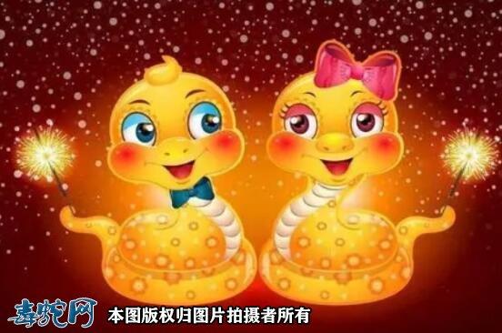 属蛇的和属蛇的配吗?